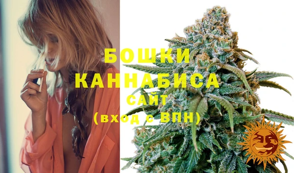 PSILOCYBIN Няндома