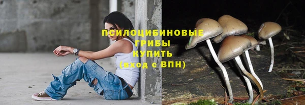 МДМА Нязепетровск