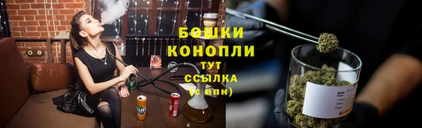 PSILOCYBIN Няндома