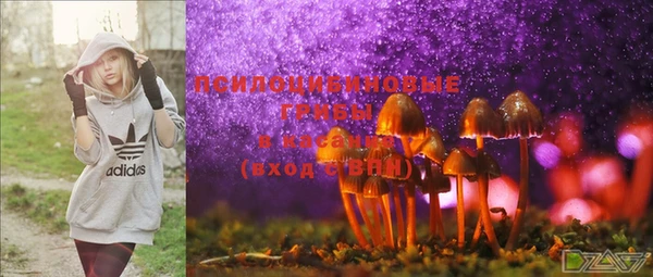 PSILOCYBIN Няндома