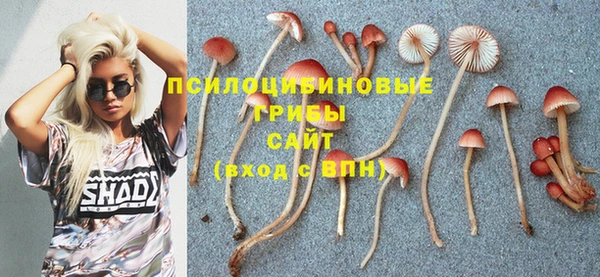PSILOCYBIN Няндома