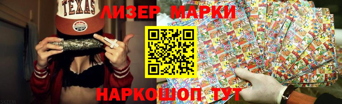 Бошки Шишки Котлас