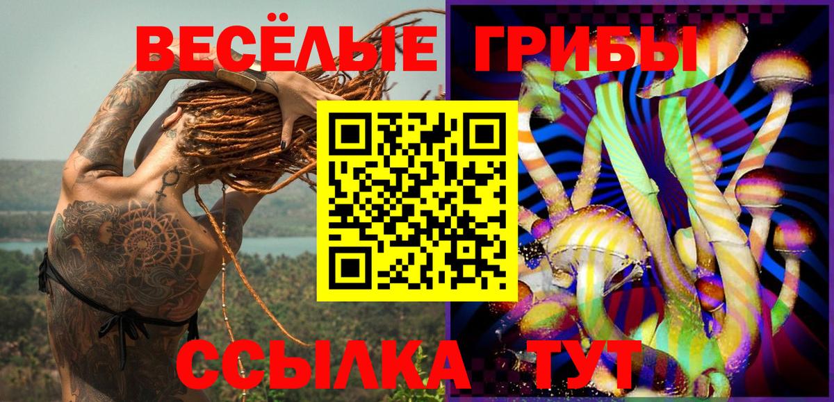 Котлас  Галлюциногенные грибы Psilocybe  Вход с VPN  Галлюциногенные грибы GOLDEN TEACHER 