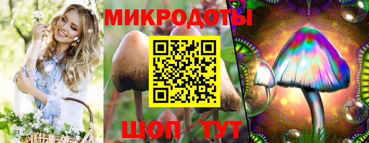 Псилоцибиновые грибы мухоморы  Псилоцибиновые грибы Psilocybine cubensis  Котлас 